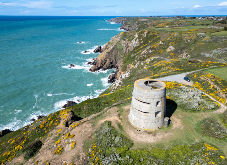 Reels and Remembrance: A Voyage through History and Film